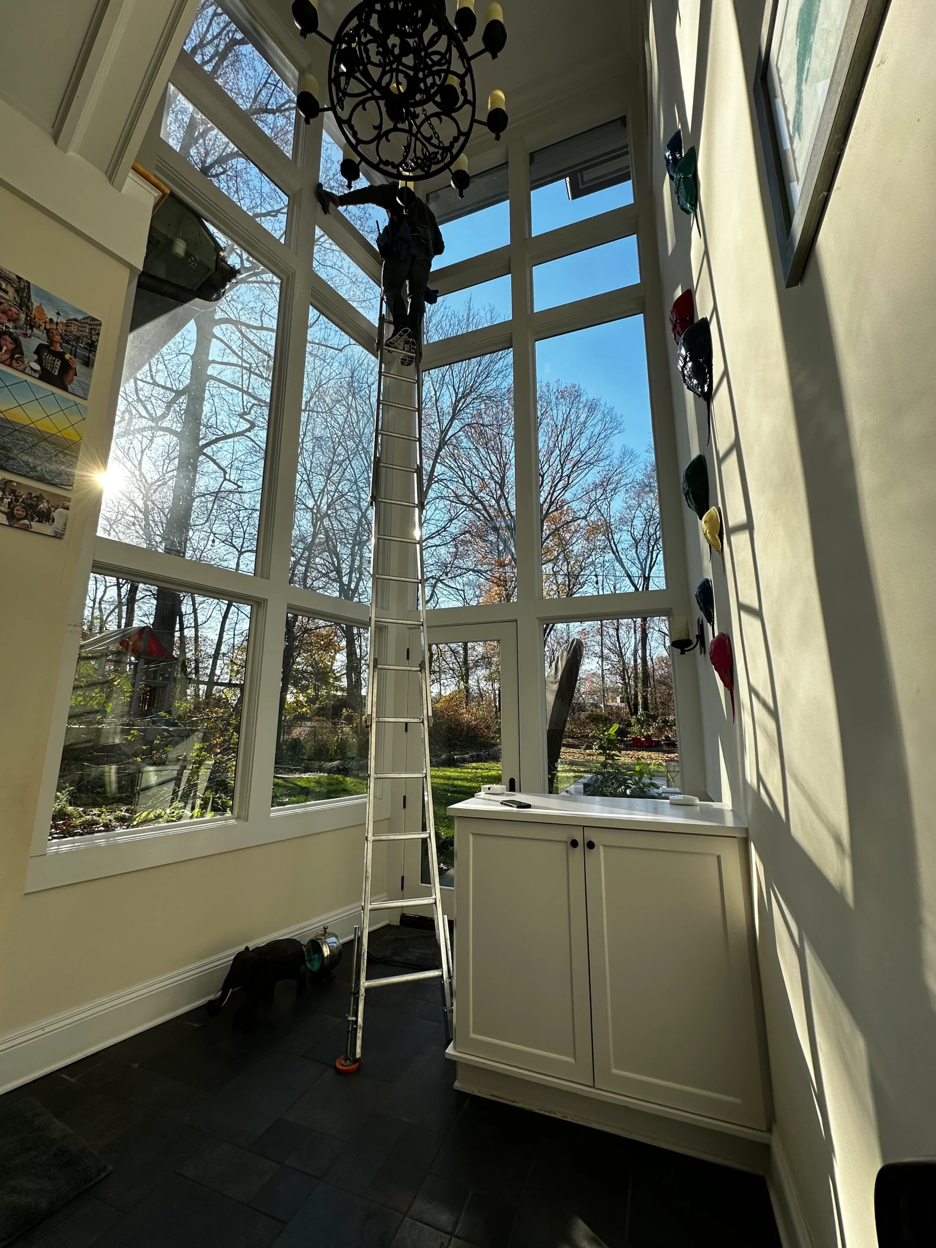 EF9B5A81-3D3D-45B3-AB38-2FA3CC3360DD